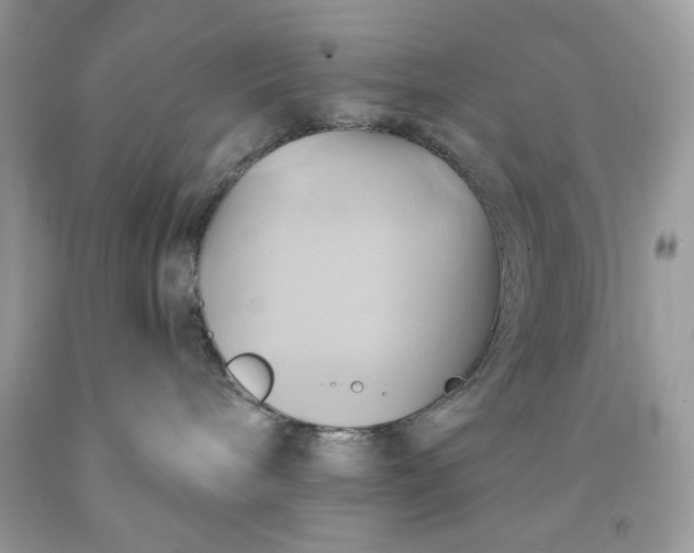 X0000091590240200709051128