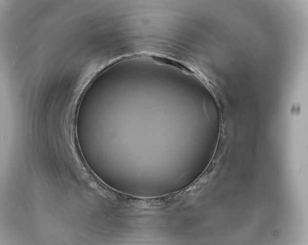 X0000091590241200709051127