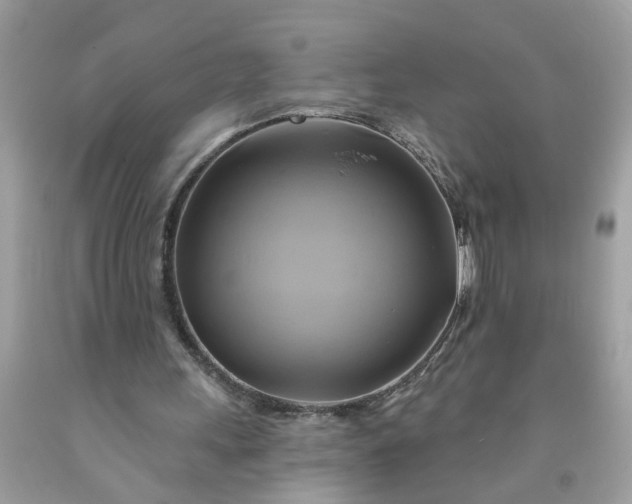 X0000091590243200709051127