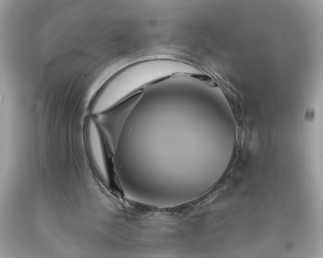 X0000091590244200709051127