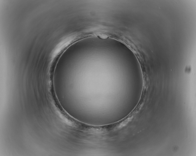X0000091590245200709051127