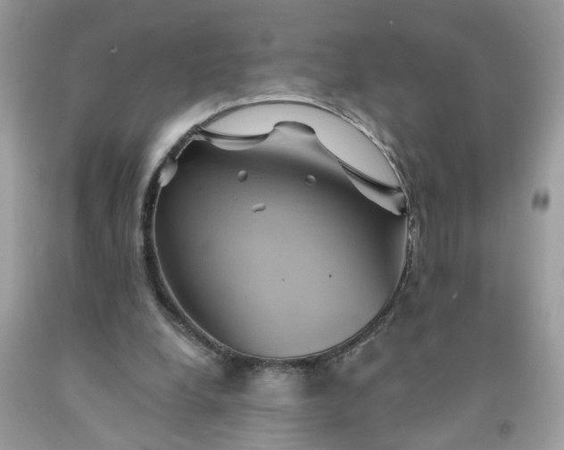 X0000091590248200709051127