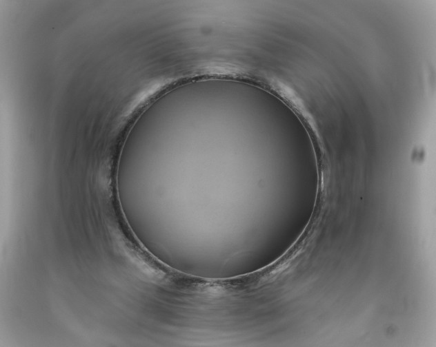 X0000091590249200709051127