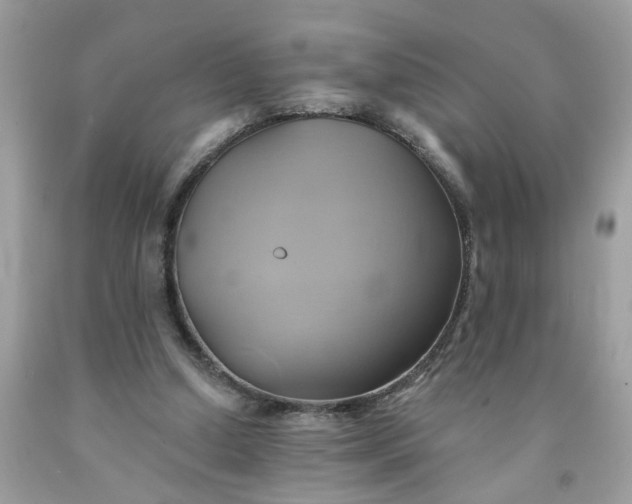 X0000091590250200709051127