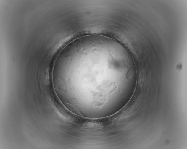 X0000091590251200709051127
