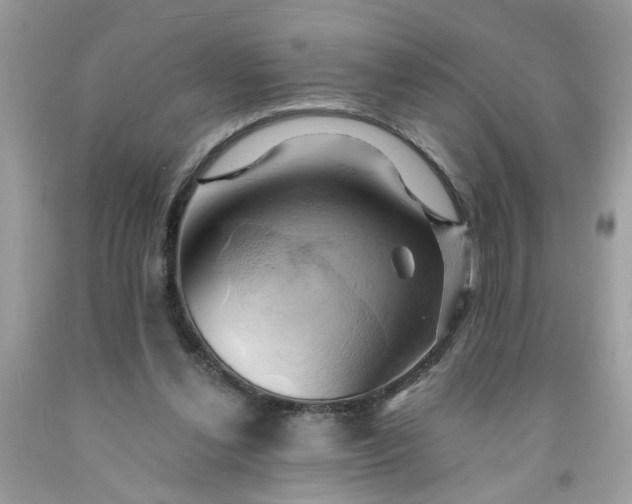 X0000091590252200709051128