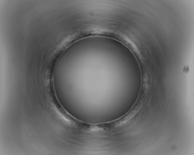 X0000091590257200709051128