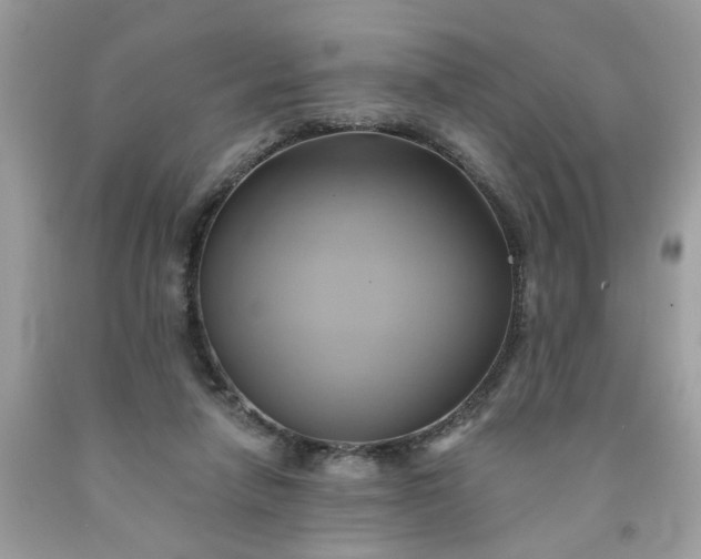 X0000091590258200709051128