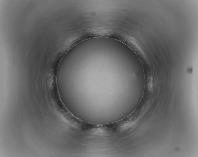 X0000091590259200709051128