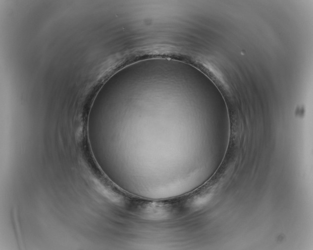 X0000091590261200709051128