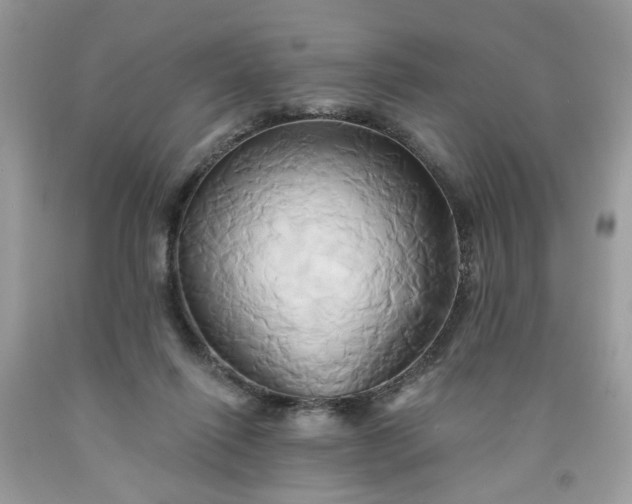 X0000091590262200709051128