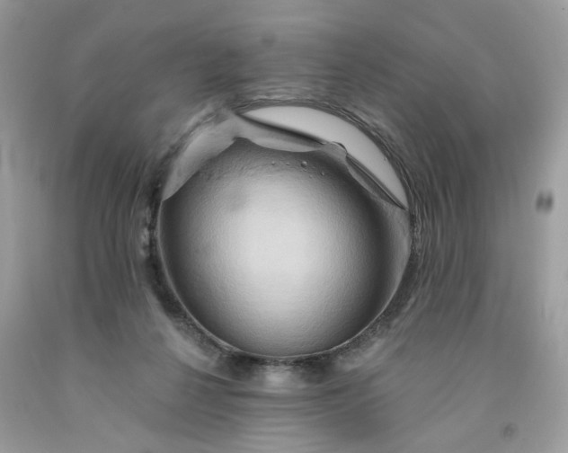 X0000091590264200709051128