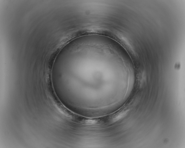 X0000091590265200709051128