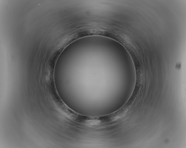 X0000091590266200709051128