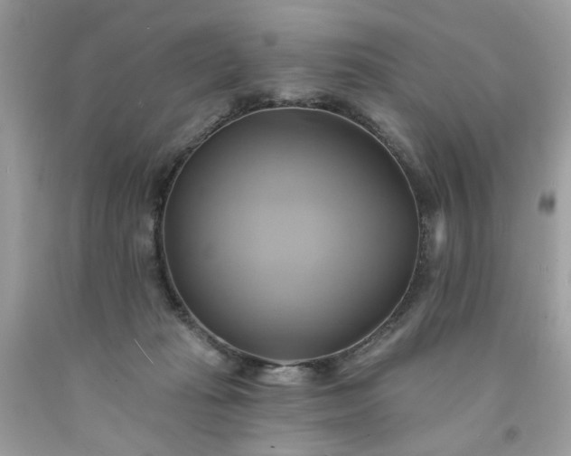 X0000091590269200709051128