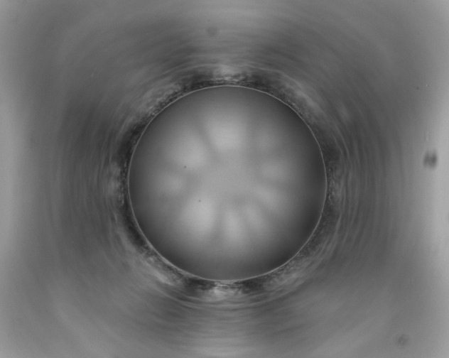 X0000091590270200709051128