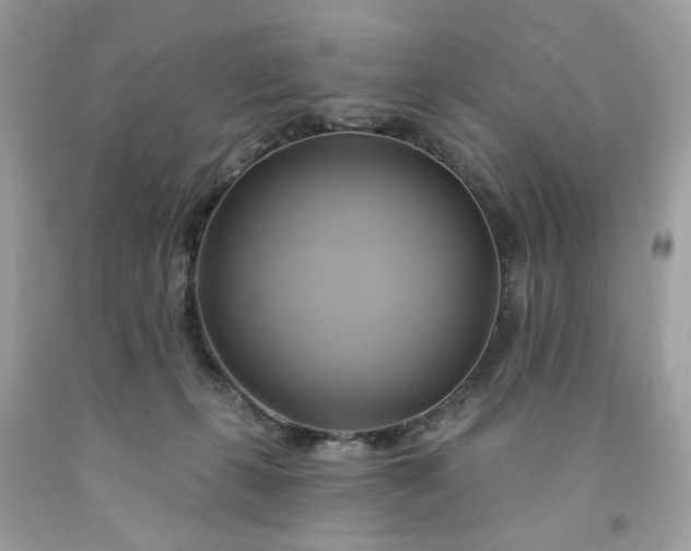 X0000091590271200709051128