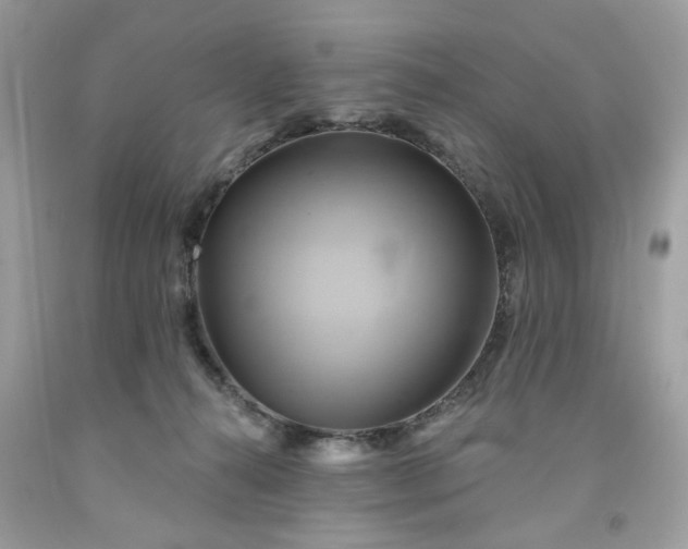 X0000091590272200709051128