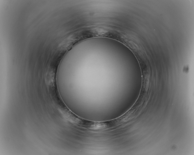 X0000091590274200709051128