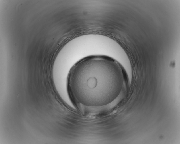 X0000091590276200709051128