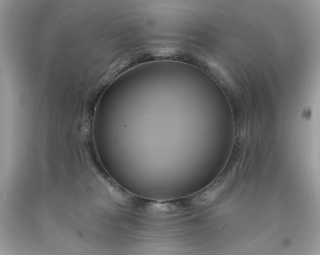 X0000091590277200709051128
