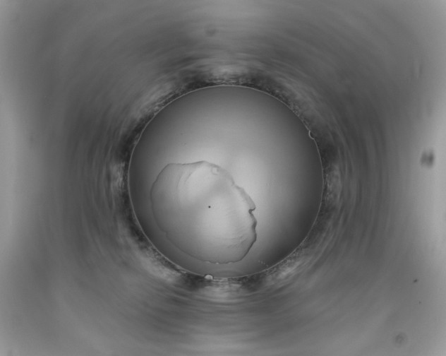X0000091590278200709051128