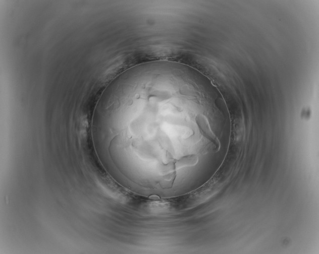 X0000091590279200709051128