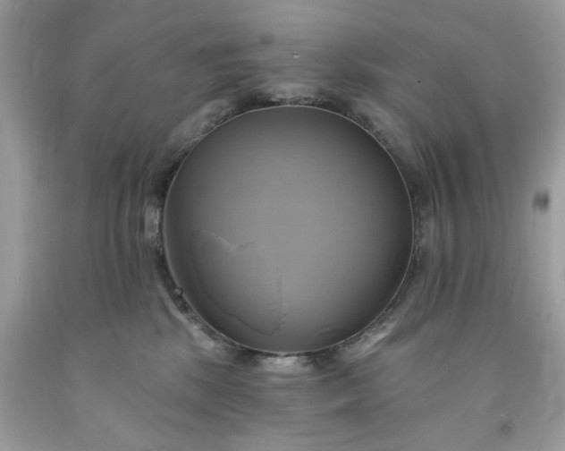 X0000091590281200709051128