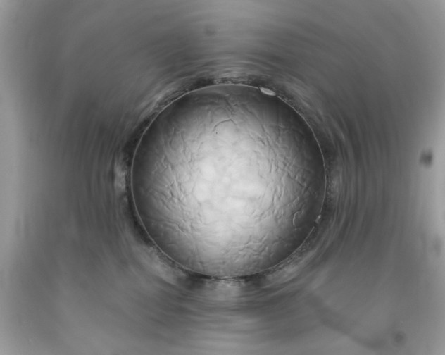 X0000091590282200709051128