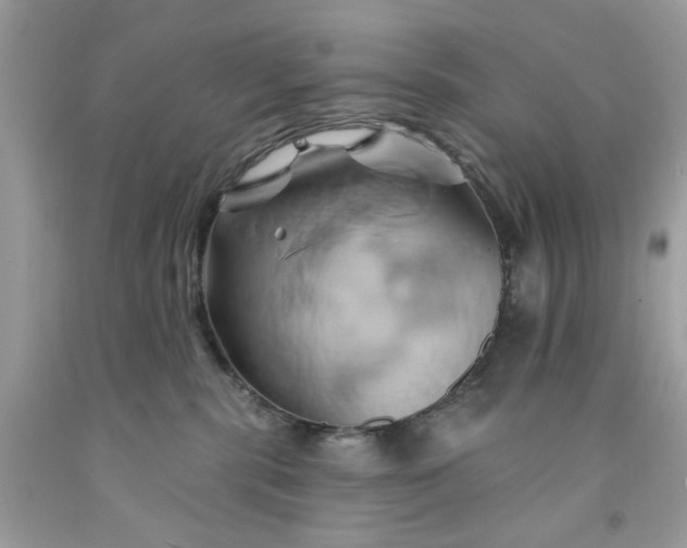 X0000091590283200709051128