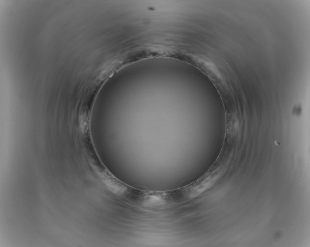 X0000091590285200709051128