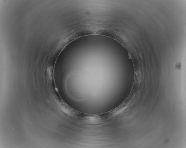 X0000091590286200709051128