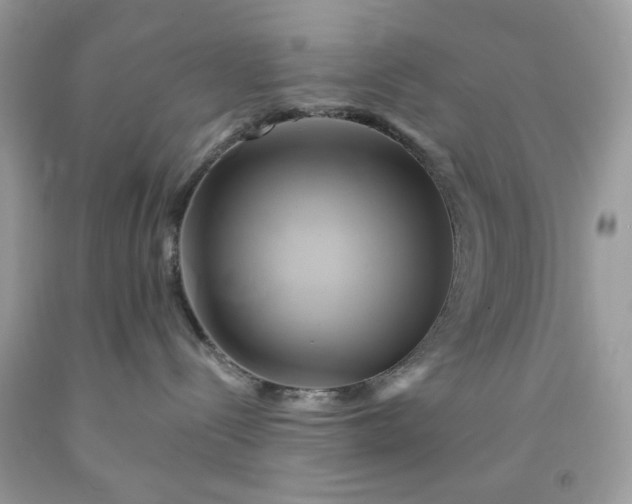 X0000091590288200709051128
