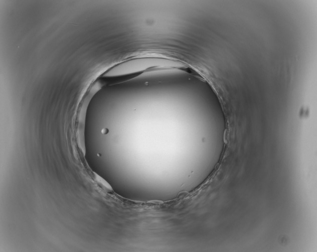 X0000091590289200709051127