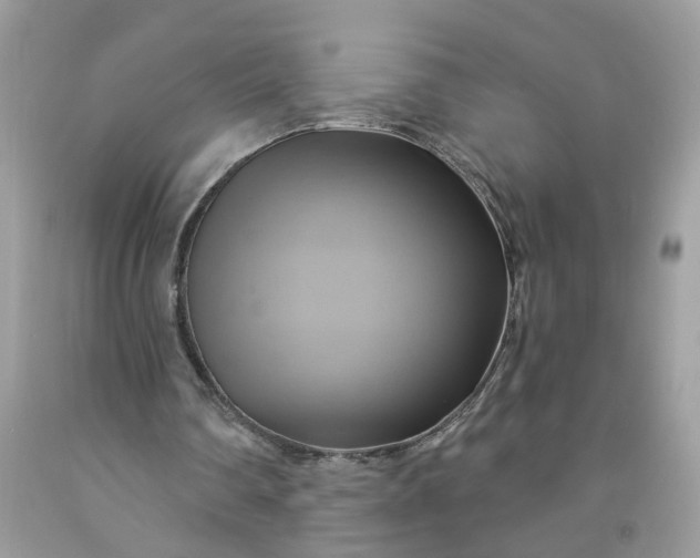 X0000091590290200709051127