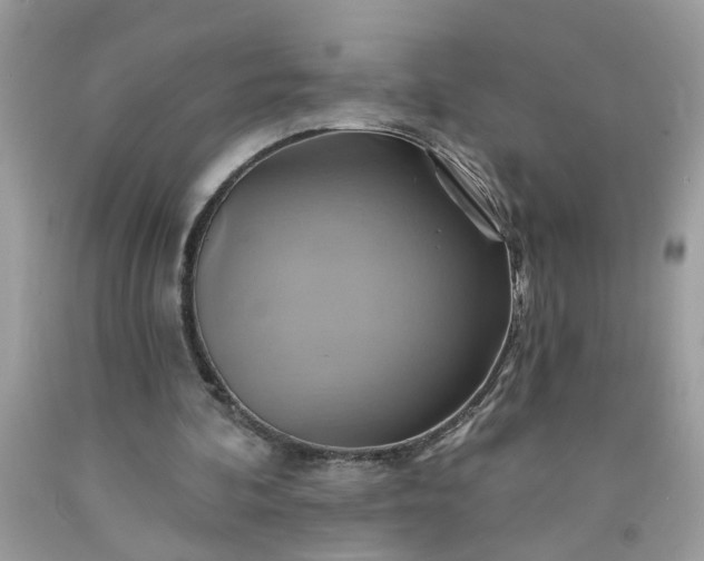 X0000091590292200709051127