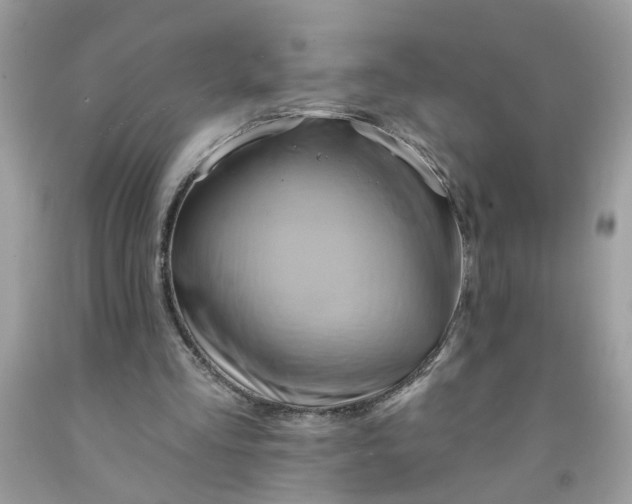 X0000091590293200709051127