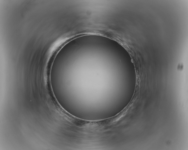 X0000091590294200709051127