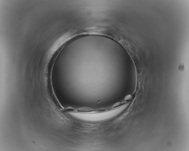 X0000091590295200709051127