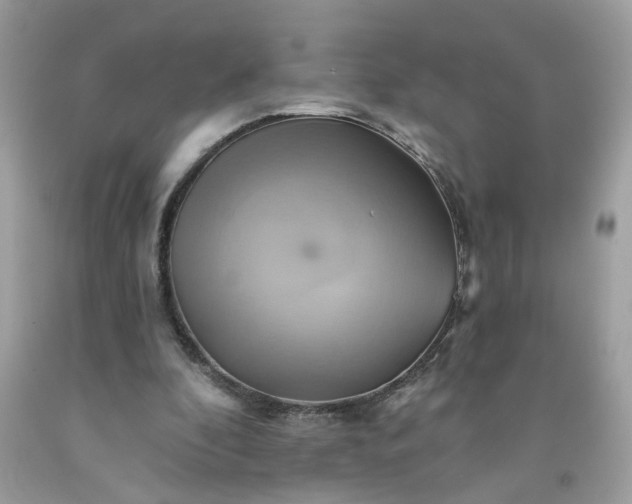 X0000091590296200709051127