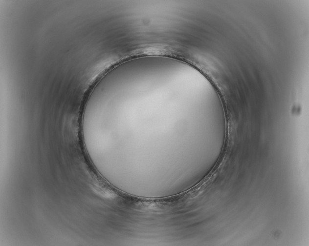 X0000091590297200709051127
