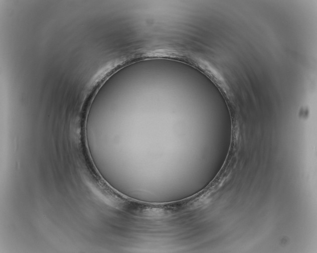 X0000091590298200709051127