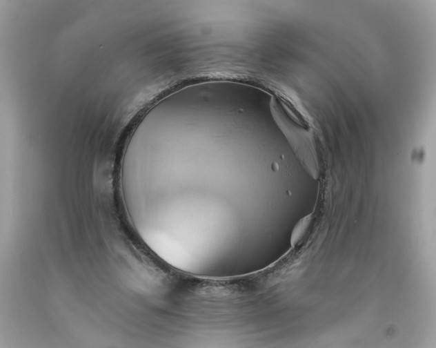 X0000091590299200709051127