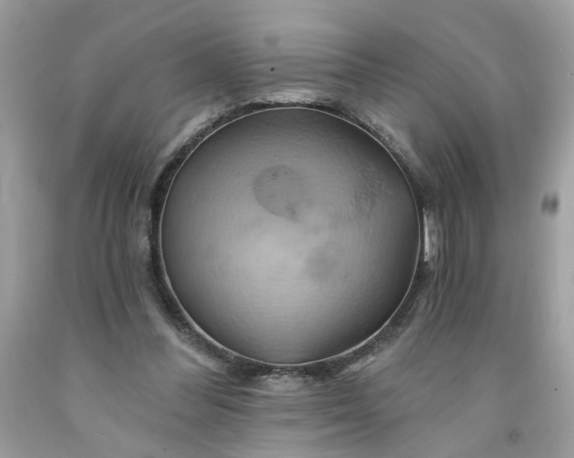 X0000091590300200709051127