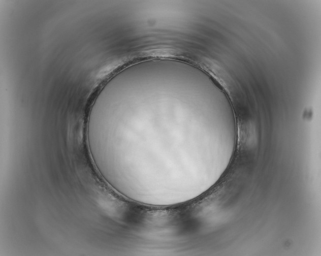 X0000091590301200709051127