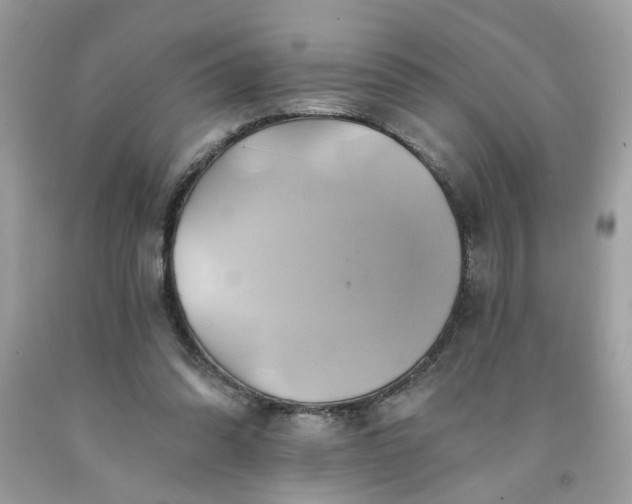 X0000091590302200709051127