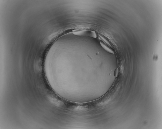 X0000091590303200709051127