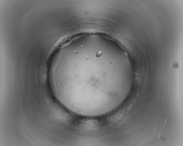 X0000091590304200709051127