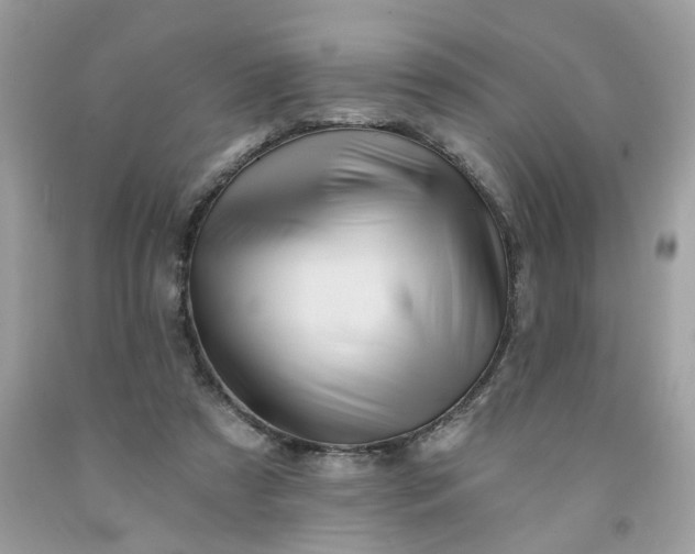X0000091590305200709051127