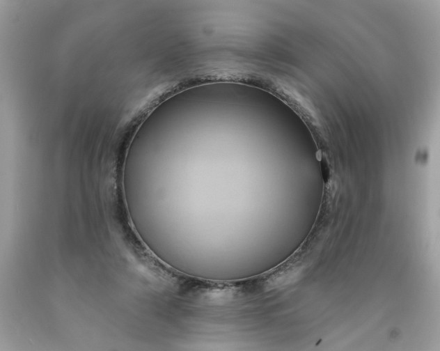 X0000091590306200709051127